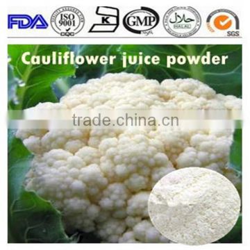 Manufacture direct supply Cauliflower powder