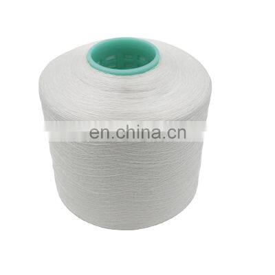 Wholesale Bulk Thread Factory Price 210D/3 Nylon Sewing Thread