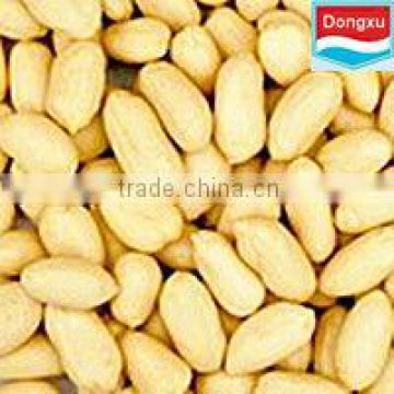 organic blanched peanut kernels