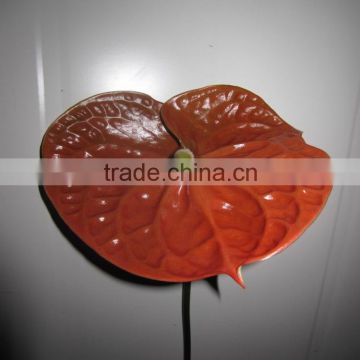 Diversified in packaging crazy selling fresh cheap antirrhinum decoration flowers