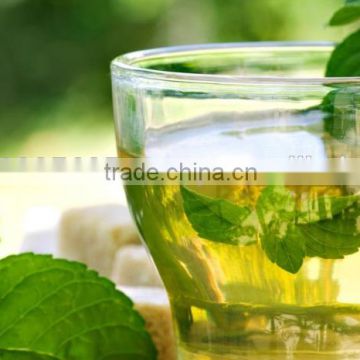 Pure Spearmint Tea Manufacturer and Supplier