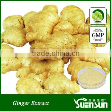 GMP manufacture supply 100% water souble ginger extract