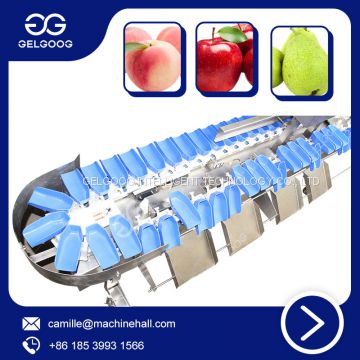 Automatic Meat Weight Sorting Machine /Fruit Sorting Equipment Vegetable Weight Sorting Machine