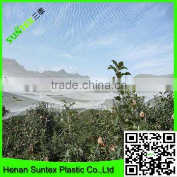 Anti hail nets for apple trees/anti hail net china/anti hail net usa