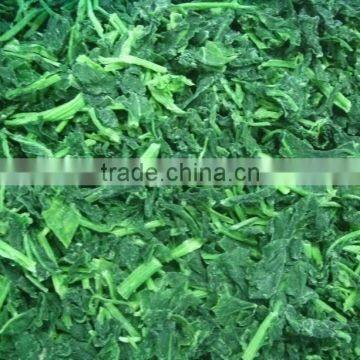 IQF frozen fresh chopped spinach with kosher certificate