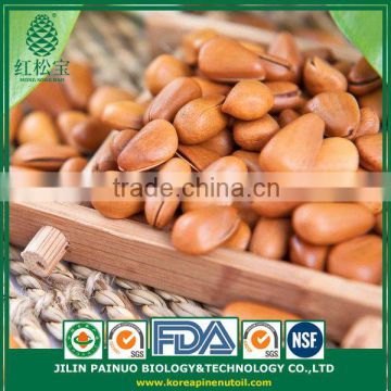 Constant Supply Dietary Supplyment Siberian Open Pine Nuts in Shell