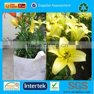 Nonwoven Fabric Garden Protection Winter Fleece Flower Cover