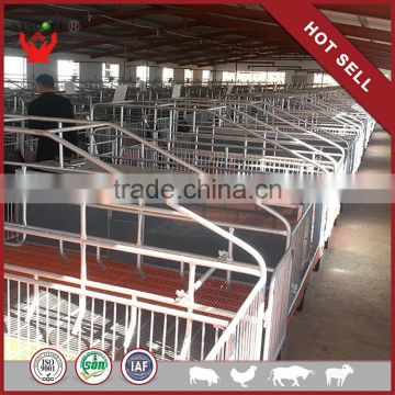Best Selling Products Hot Dip Galvanzied Farrowing Crate Design