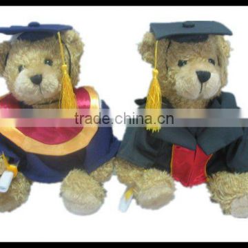 Cute Teddy Bear In Graduation