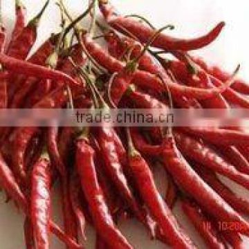 2013 New Crop Dry Chilli With Stems