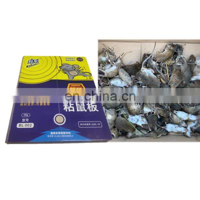 Signature Dish in Rat Appeared Pest Control Mouse Trap for Efficient Mouse Board