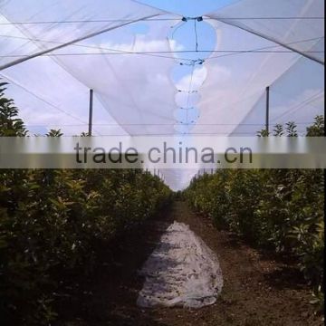 Table Grape Covers used to Anticipate Maturation and Delay Harvest,Rain Protection Tarps & Covers