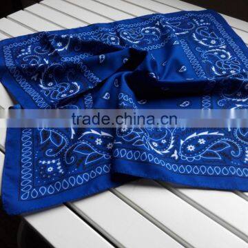 Classic kidneys blue bandanas