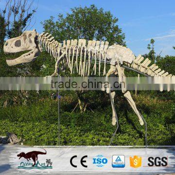 Dinosaur Exhibition Simulation Metal Dinosaur Skeleton