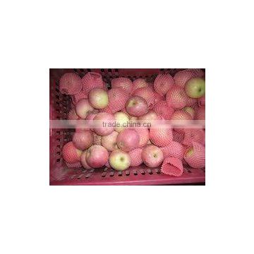 Fresh Shanxi Fuji Apple