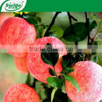 100% water soluble Liquid Amino Acid Organic Fertilizer with competitive prices