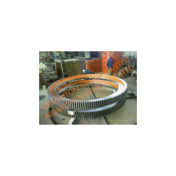 Slew Bearing