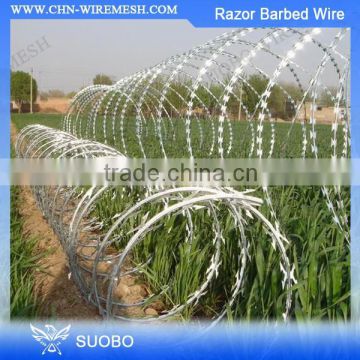 Hot Sale Low Price Galfan Coated/Flat Wrap And Galvanized Barbed Wire