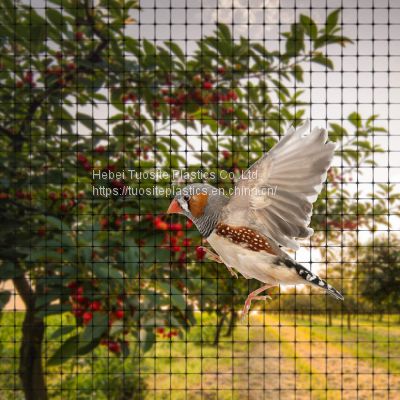 PP Roof Monitor Bird Screen Extruded Green 8gsm Anti Bird Net Mesh for Farm  Orchard of anti bird net from China Suppliers - 170451063