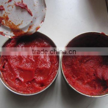 800G cold break canned tomato paste to tomato sauce with best price