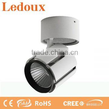 LED COB Ceiling Light / Surface Mounted COB LED Ceiling Light