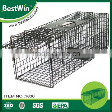 BSTW professional pest control factory humane large live animal wild animal trap