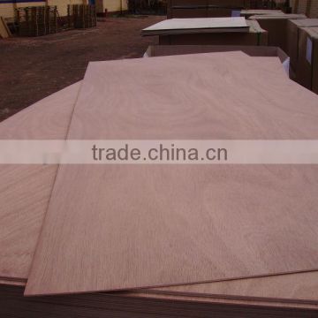 Bingtangor faced commercial plywood bingtangor veneer 1220*2440mm low price and good quality