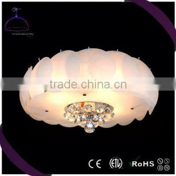 cheap and good quality Top Quality ball ceiling light from China workshop