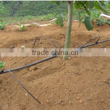 Fruit tree irrigation system