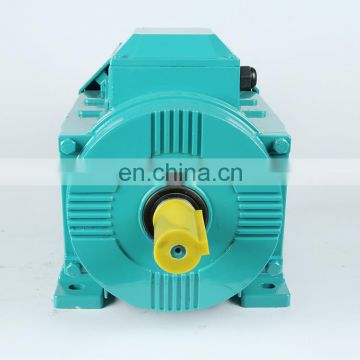 20 hp Hot Sale Three-phase AC Induction Electric Motor Price