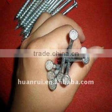 every kinds of head screw nails