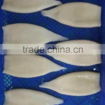 2016 High Quality Squid tube from China on Hot Sale