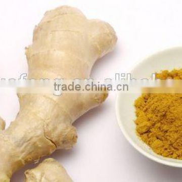 Sulfur-free Hot Sale High Quality dried ginger powder,Ginger Extract