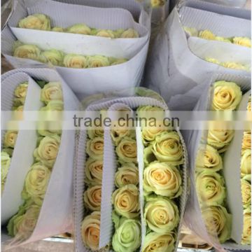 2016 Kunming fresh cut flowers fresh cut roses wholesale price