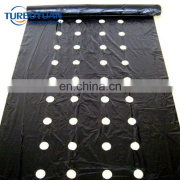 China black plastic film perforated agriculture mulch film