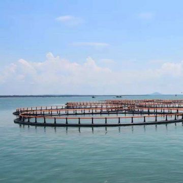 Deep Sea Aquaculture Fish Farming Net Floating Circular and Square Fishing  Cage - China Fishing Cage, Fish Farming Cage