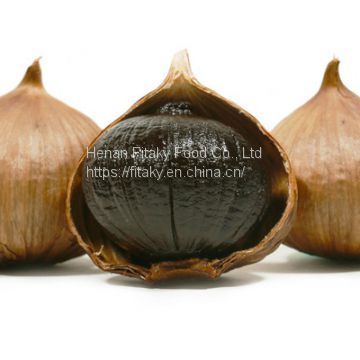 Black Garlic wholesale Price