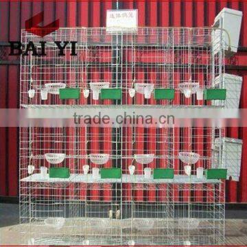 Professional PVC Coated Pigeon Cage For Sale Cheap