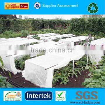 Hot Export Product PP Nonwoven Fabric spunbond non woven fabric For Agriculture