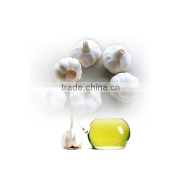 Garlic Oil Professional Manufacturer