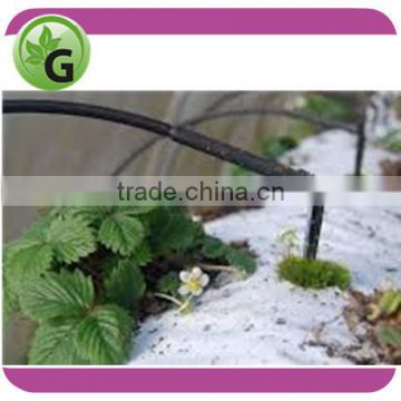 Garden irrigation drip arrow for strawberry