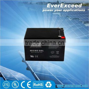 EverExceed MICRO GEL 6 volt lead-acid battery