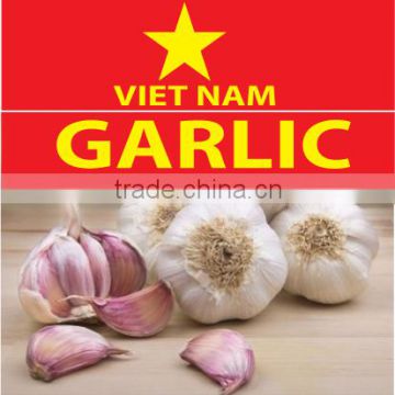 Garlic natural
