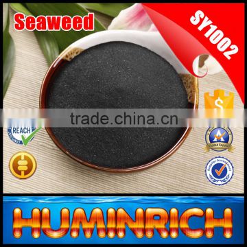 Huminrich 100% Water Soluble Organic Fertilizer Sargassum Seaweed Fertilizer