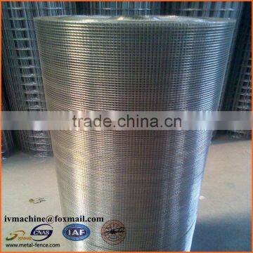 Galvanized welded wire mesh aviary wire mesh