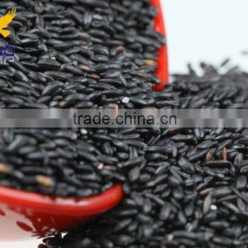 Chinese black rice with good price