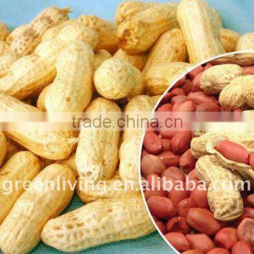 dried china peanut kernels(red colour)