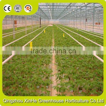 High Quality Mini Galvanized Steel Truss Greenhouse