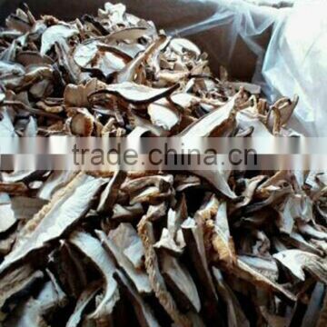 Hubei yongguang champignon mushroom slice/ shiitake mushroom slice