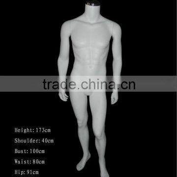 Male mannequin gross color